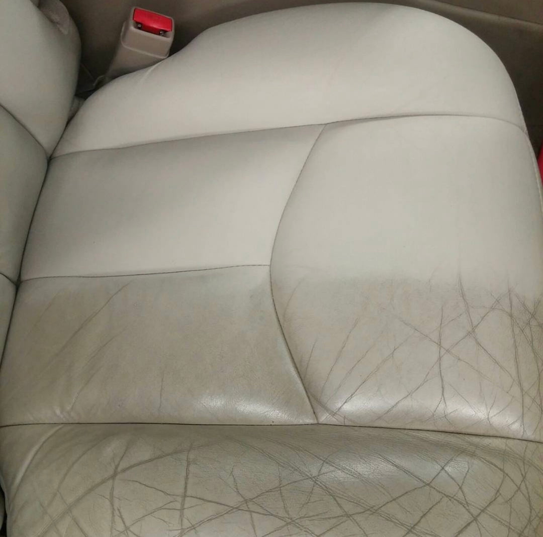 Leather Condition & Treatment